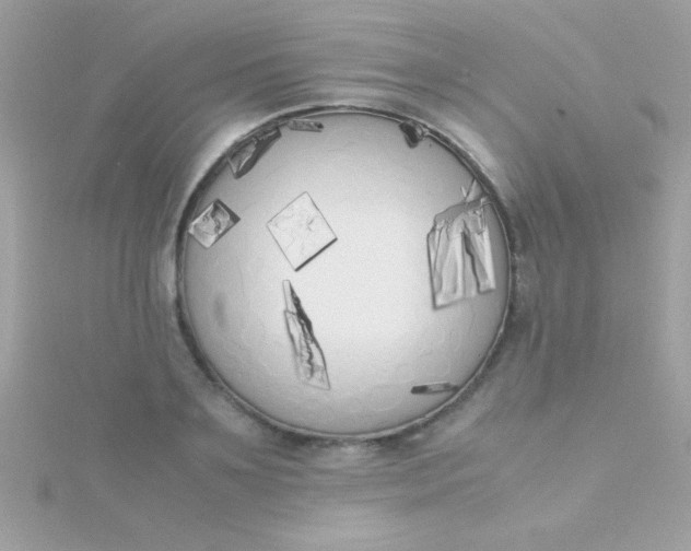 X0000115740891200911251957