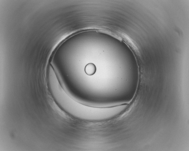 X0000115740892200911251957