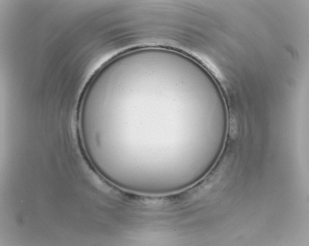 X0000115740895200911251957