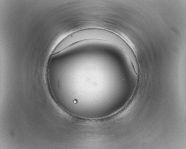 X0000115740901200911251957