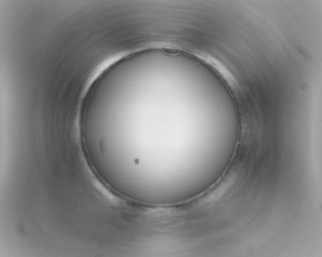 X0000115740902200911251957