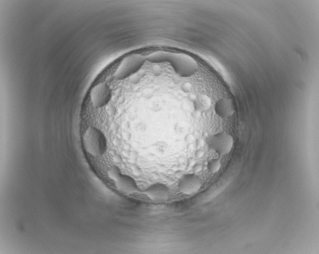 X0000115740903200911251957