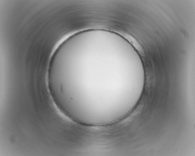 X0000115740904200911251957