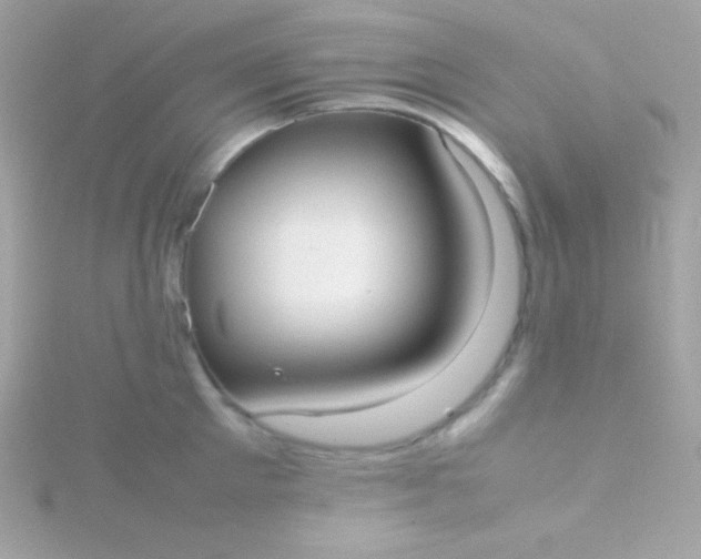 X0000115740905200911251957