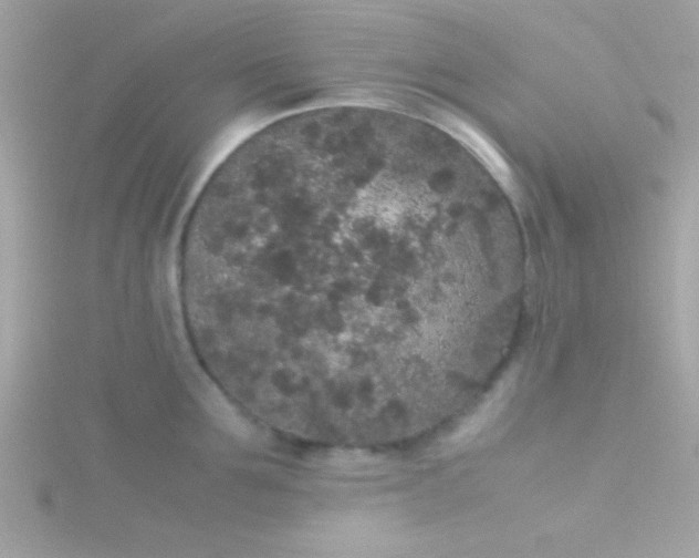 X0000115740907200911251957