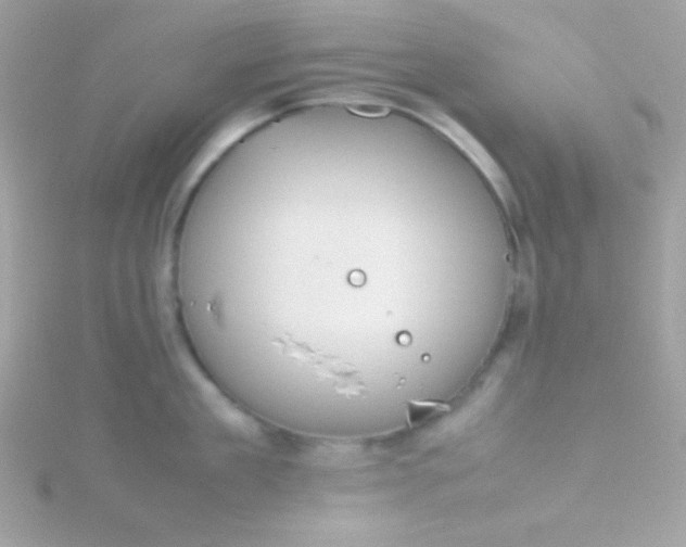 X0000115740909200911251957