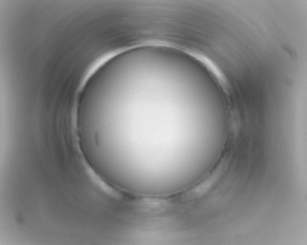 X0000115740910200911251957