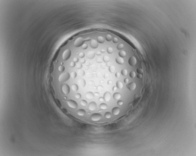 X0000115740911200911251957