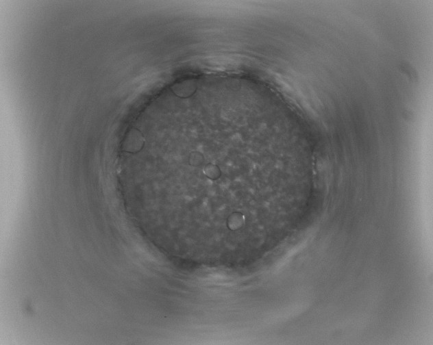 X0000115740913200911251956