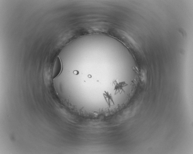 X0000115740915200911251956