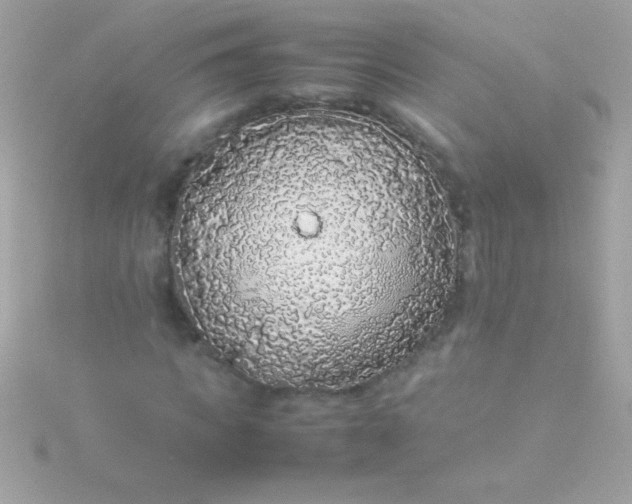 X0000115740917200911251956