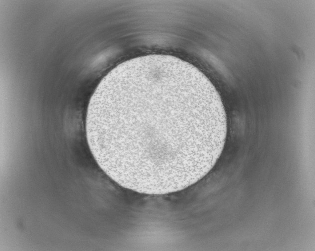 X0000115740918200911251956