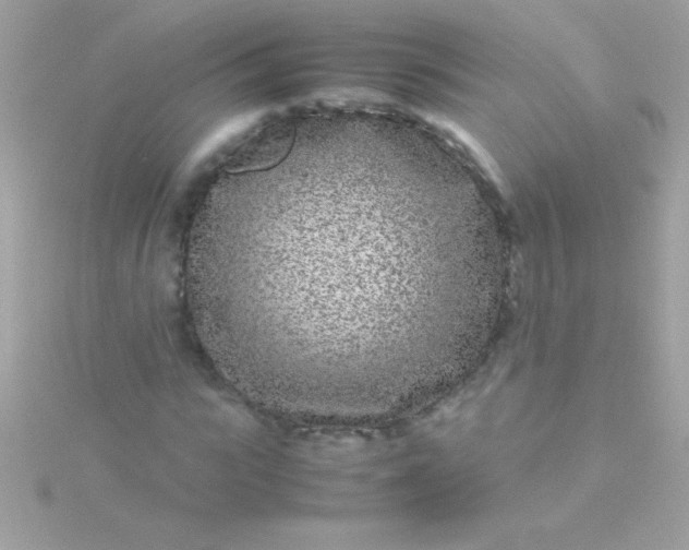 X0000115740919200911251956