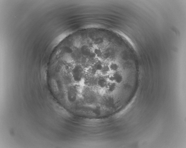 X0000115740921200911251956