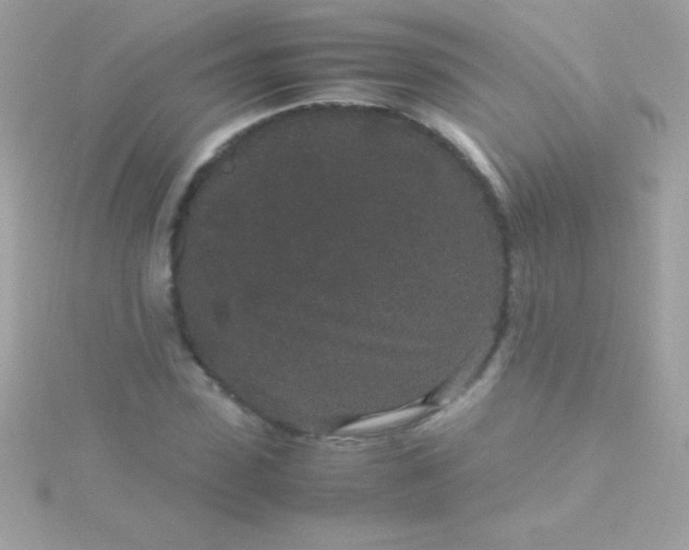 X0000115740923200911251956