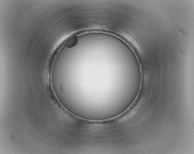 X0000115740925200911251956