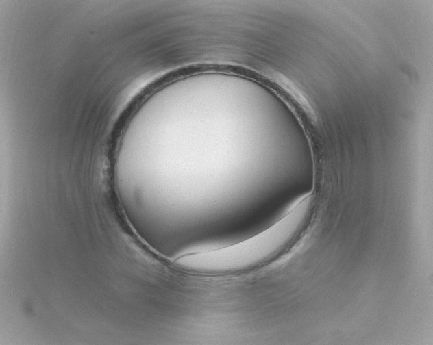 X0000115740926200911251956