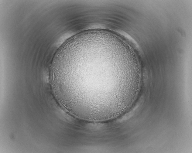 X0000115740929200911251956