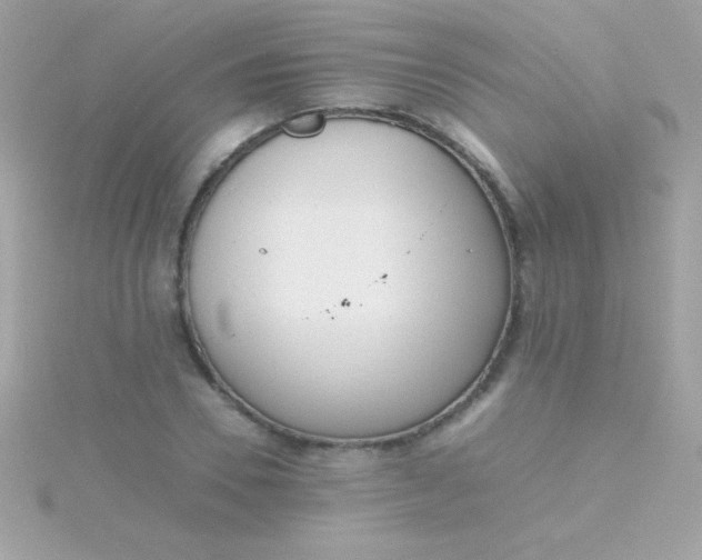 X0000115740930200911251956