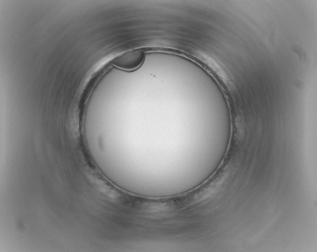 X0000115740931200911251956