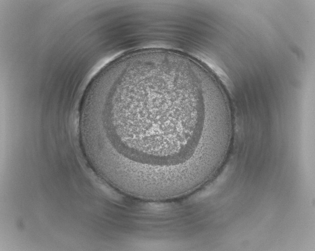 X0000115740933200911251956