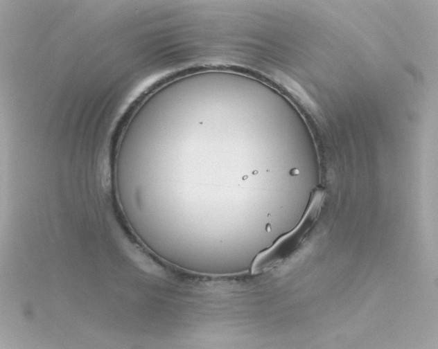 X0000115740934200911251956