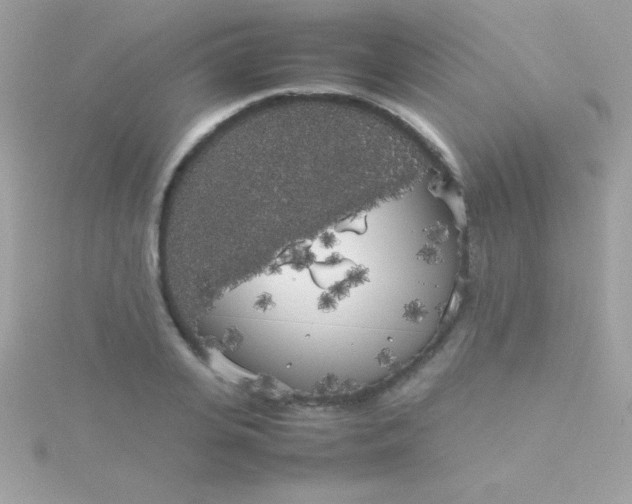 X0000115740935200911251956