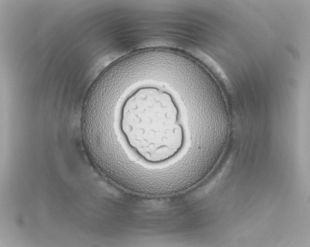 X0000115740937200911251956