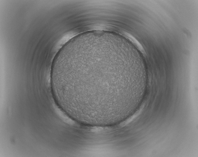 X0000115740938200911251956