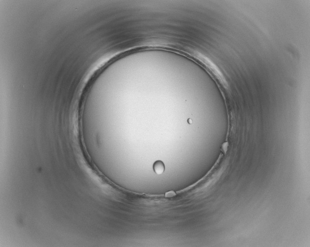 X0000115740939200911251956