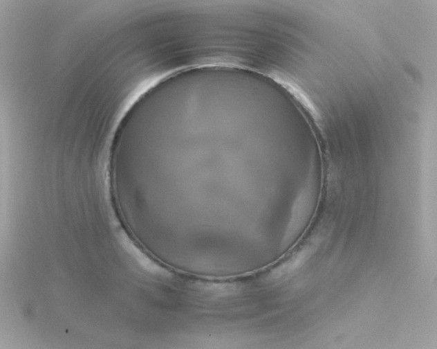 X0000115740941200911251956