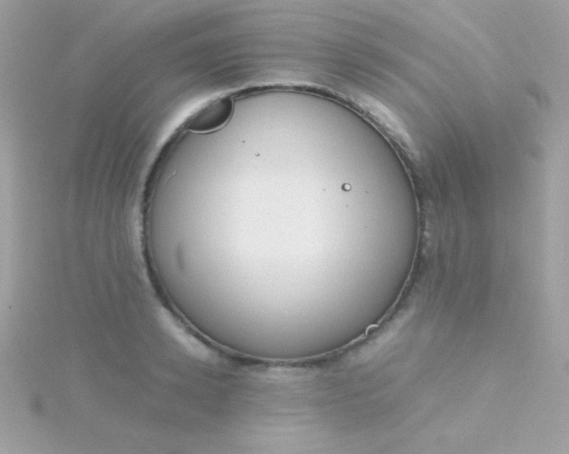 X0000115740942200911251956