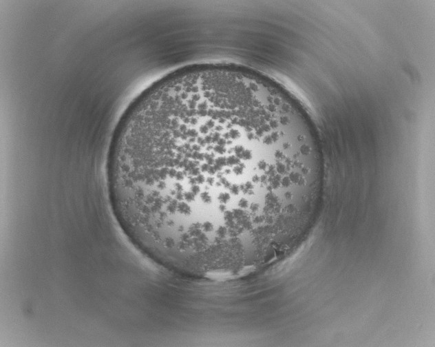 X0000115740943200911251956