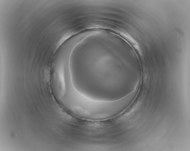 X0000115740945200911251956