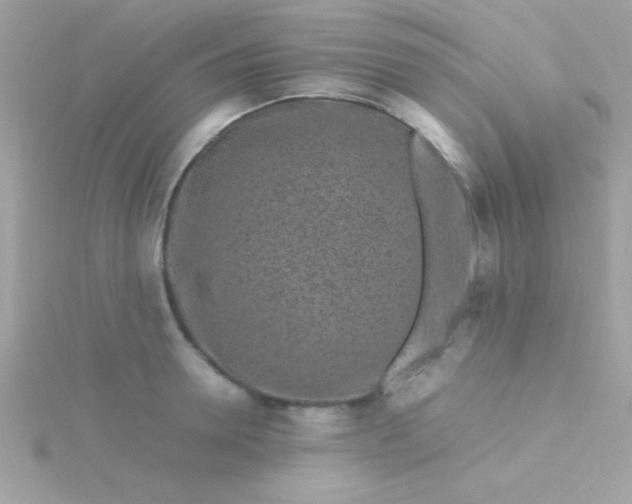 X0000115740946200911251956