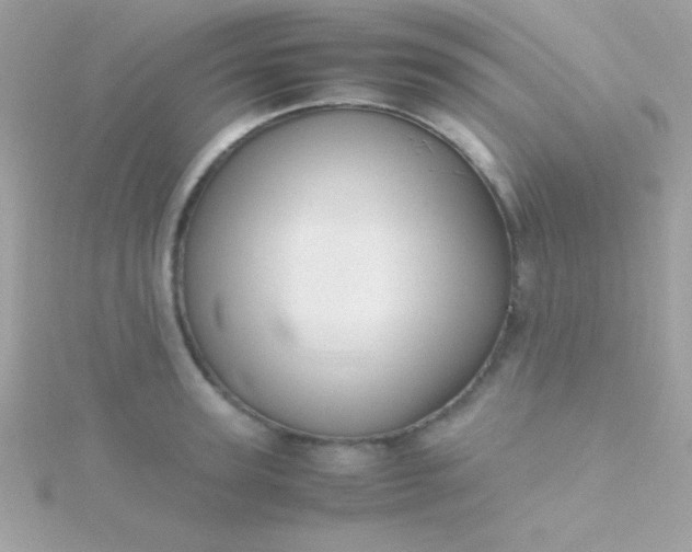 X0000115740947200911251956