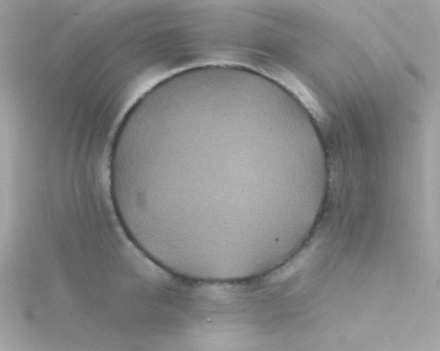 X0000115740950200911251956