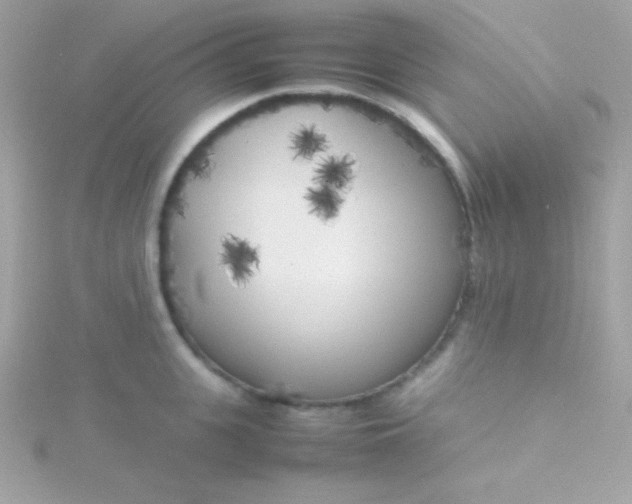 X0000115740951200911251956