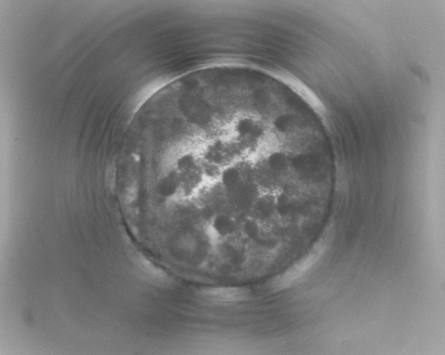 X0000115740953200911251956