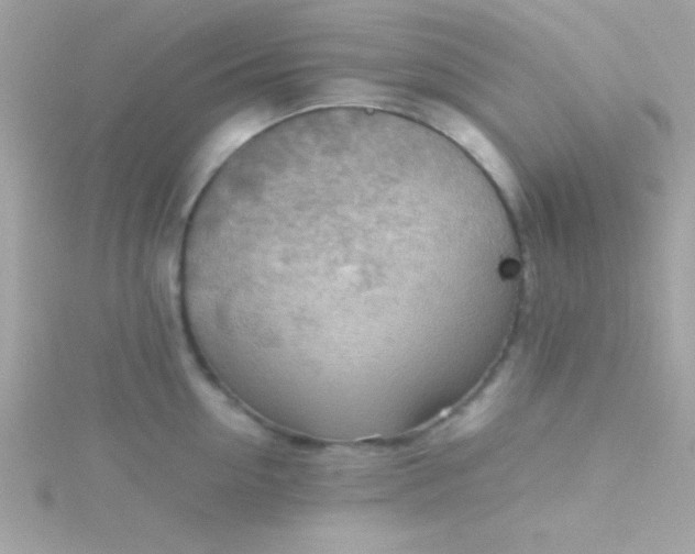 X0000115740954200911251956