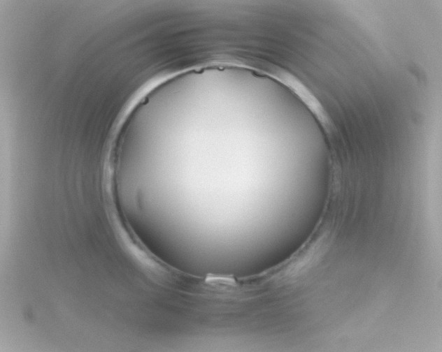 X0000115740955200911251957