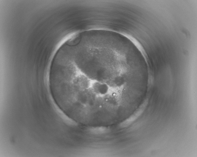 X0000115740957200911251957