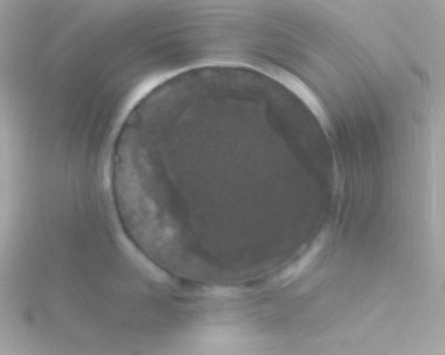 X0000115740958200911251957