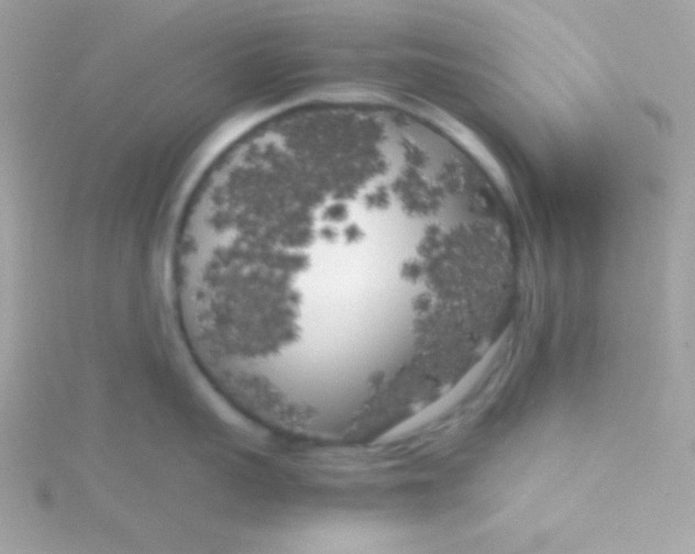 X0000115740959200911251957