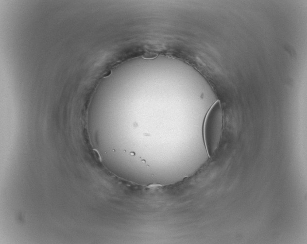 X0000115740961200911251956