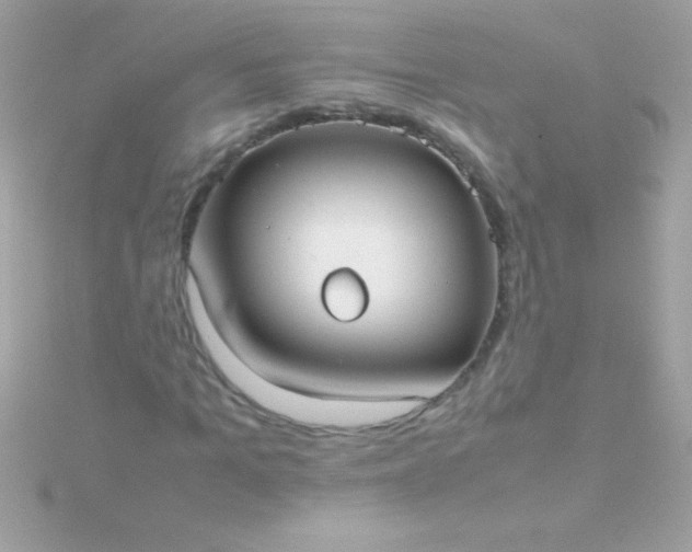 X0000115740965200911251956