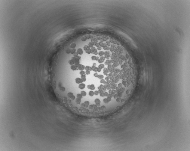 X0000115740966200911251956