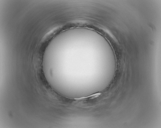 X0000115740967200911251956