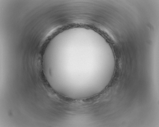 X0000115740968200911251956