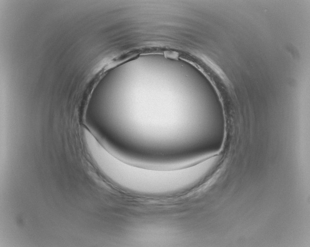 X0000115740969200911251956